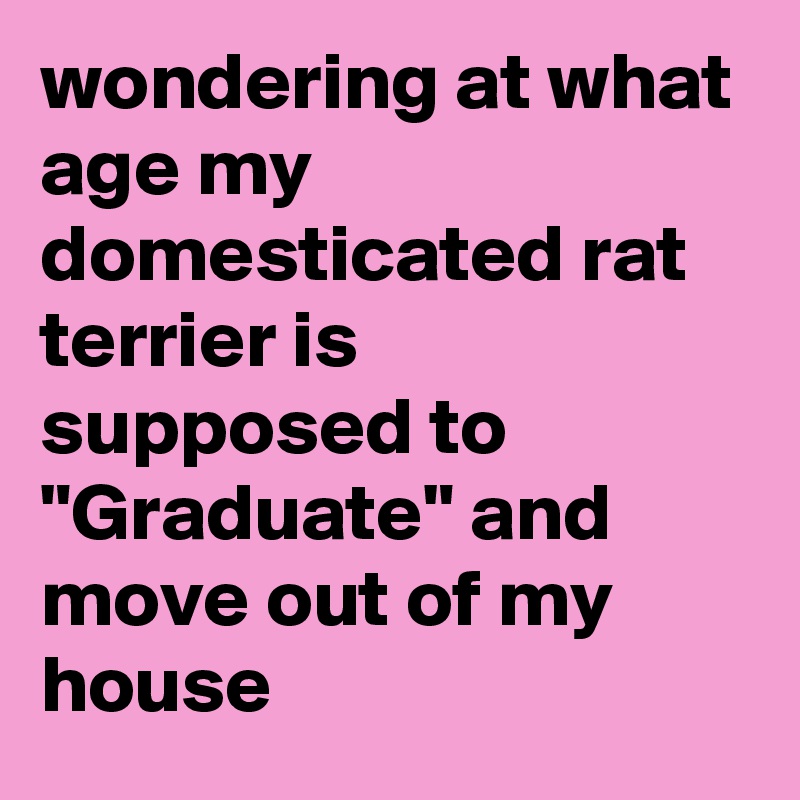 wondering at what age my domesticated rat terrier is supposed to "Graduate" and move out of my house