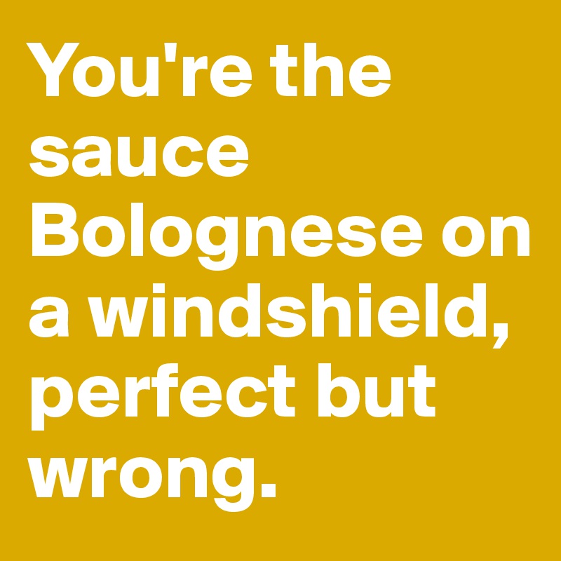 You're the sauce Bolognese on a windshield, perfect but wrong.