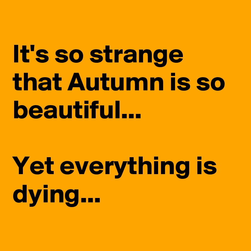 
It's so strange that Autumn is so beautiful...

Yet everything is dying...
