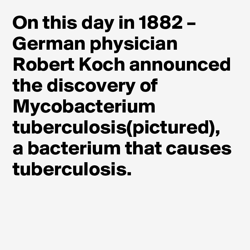 On this day in 1882 – German physician Robert Koch announced the discovery of Mycobacterium tuberculosis(pictured), a bacterium that causes tuberculosis.