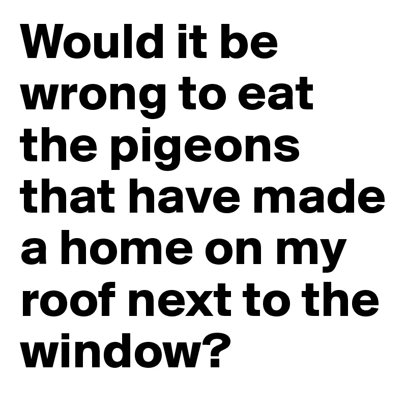 Would it be wrong to eat the pigeons that have made a home on my roof next to the window?