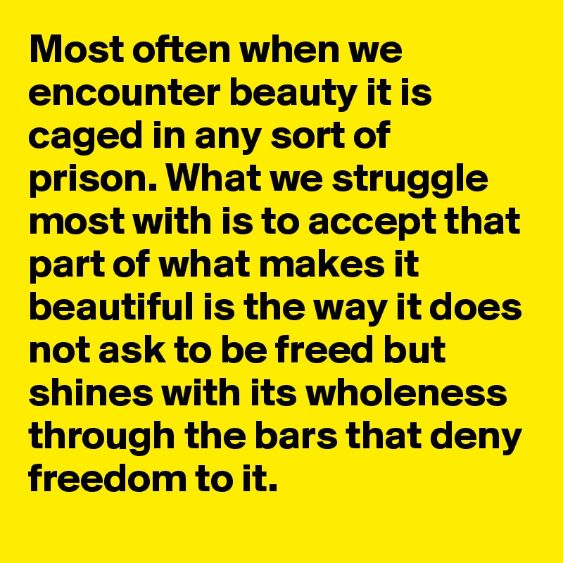 Most often when we encounter beauty it is caged in any sort of prison. What we struggle most with is to accept that part of what makes it beautiful is the way it does not ask to be freed but shines with its wholeness through the bars that deny freedom to it.