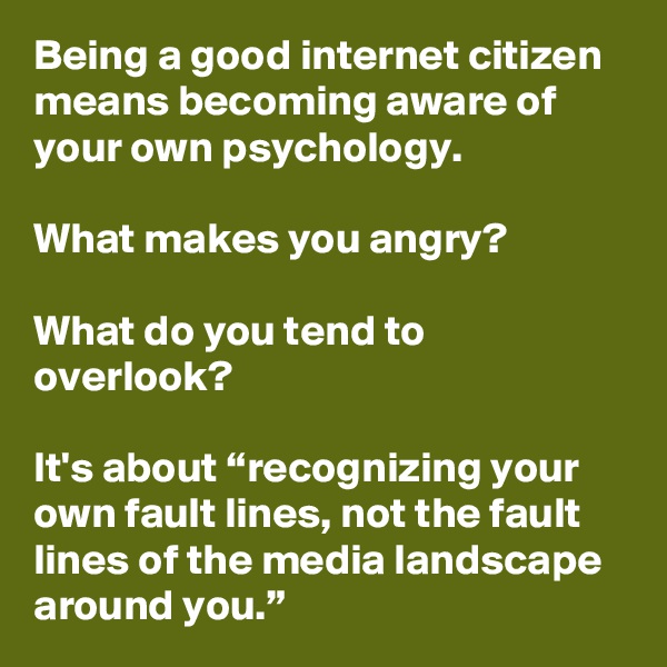 Being a good internet citizen means becoming aware of your own psychology. 

What makes you angry? 

What do you tend to overlook? 

It's about “recognizing your own fault lines, not the fault lines of the media landscape around you.”