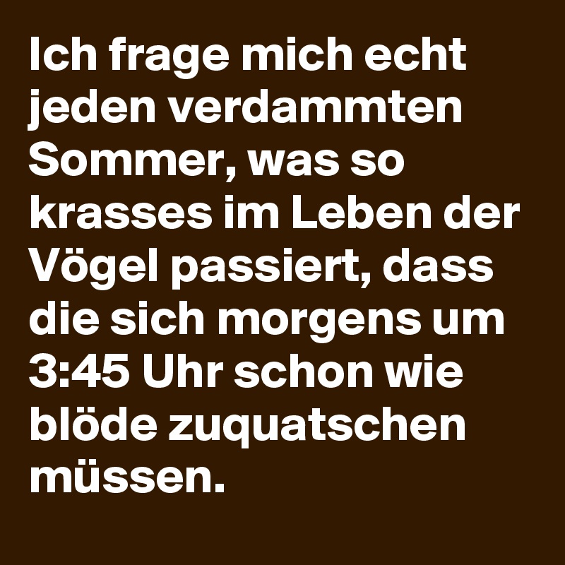 Ich frage mich echt jeden verdammten Sommer, was so krasses im Leben der Vögel passiert, dass die sich morgens um 3:45 Uhr schon wie blöde zuquatschen müssen.