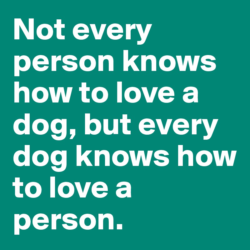 Not every person knows how to love a dog, but every dog knows how to love a person.