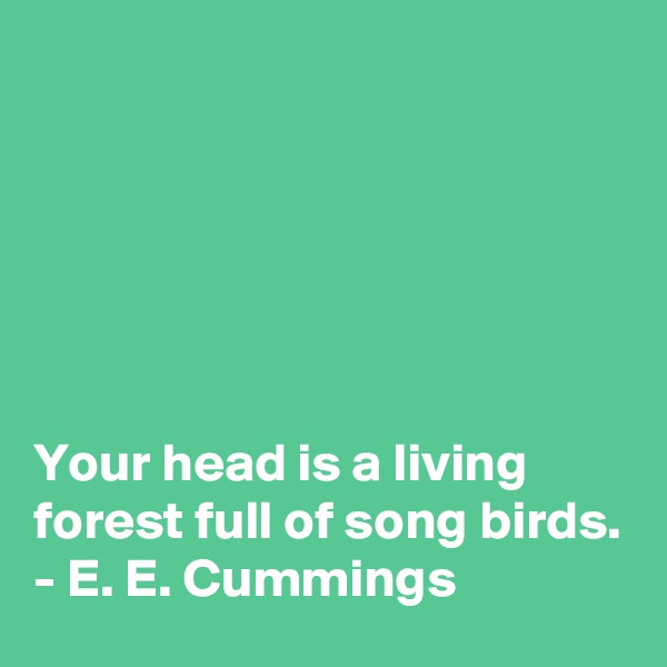 






Your head is a living forest full of song birds.
- E. E. Cummings