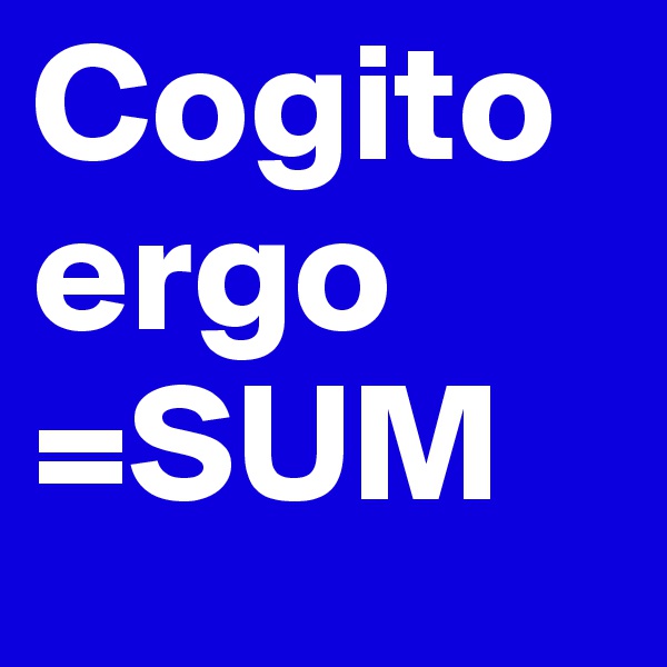 Cogito ergo =SUM