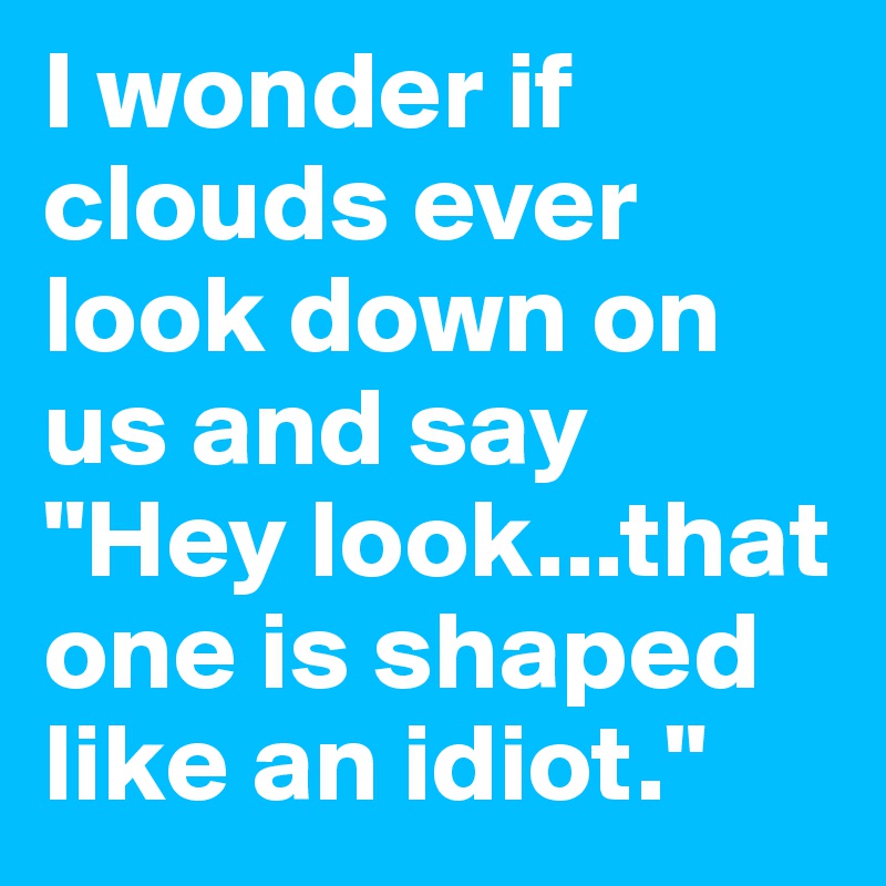 I wonder if clouds ever look down on us and say "Hey look...that one is shaped like an idiot."