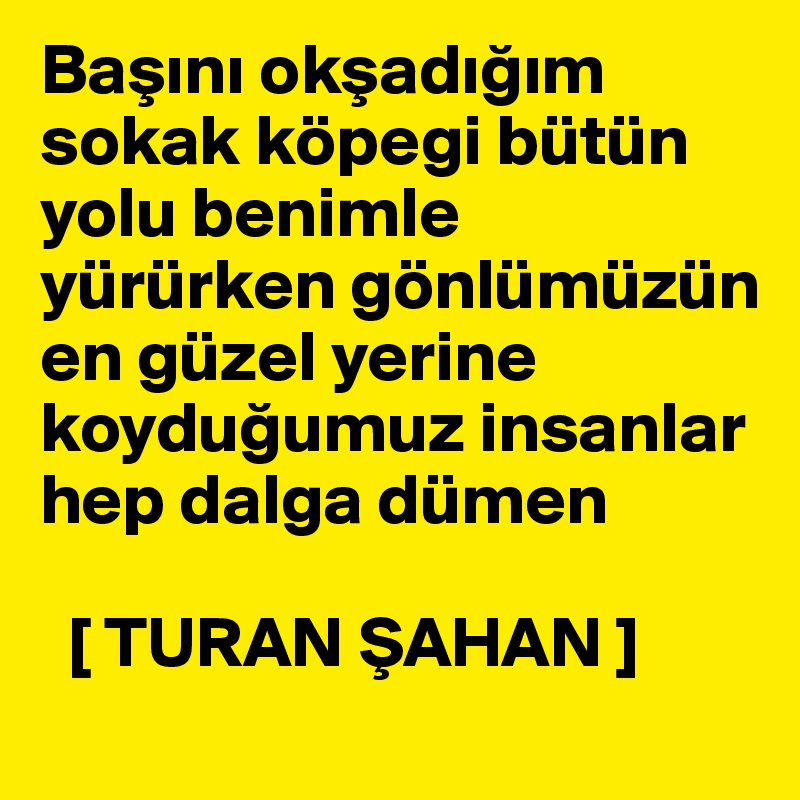 Basini oksadigim sokak köpegi bütün yolu benimle yürürken gönlümüzün en güzel yerine koydugumuz insanlar hep dalga dümen 

  [ TURAN SAHAN ] 