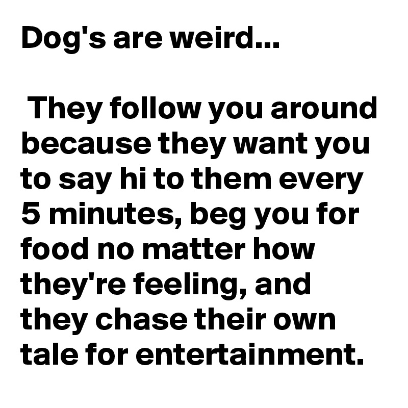 Dog's are weird...

 They follow you around because they want you to say hi to them every 5 minutes, beg you for food no matter how they're feeling, and they chase their own tale for entertainment.