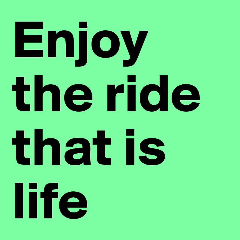 Enjoy the ride that is life