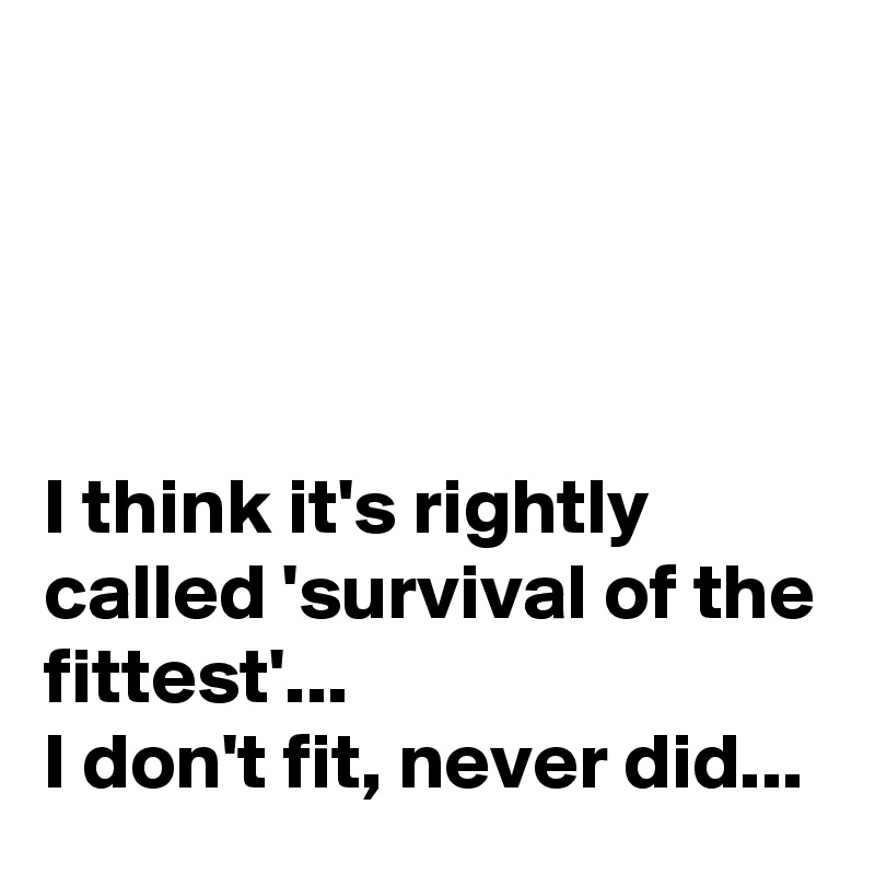 




I think it's rightly called 'survival of the fittest'...
I don't fit, never did...