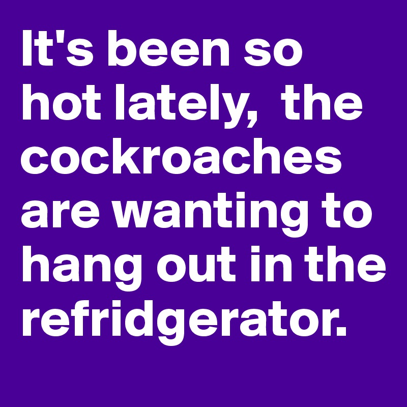 It's been so hot lately,  the cockroaches are wanting to hang out in the refridgerator. 