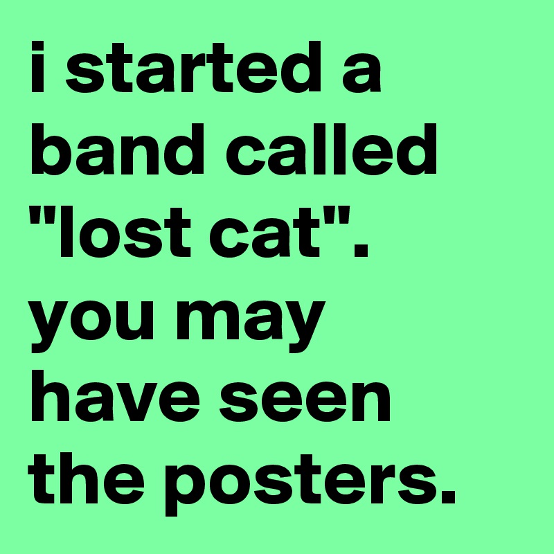 i started a band called "lost cat". you may have seen the posters.