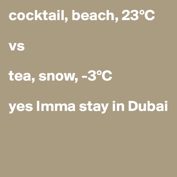 cocktail, beach, 23°C

vs 

tea, snow, -3°C 

yes Imma stay in Dubai


