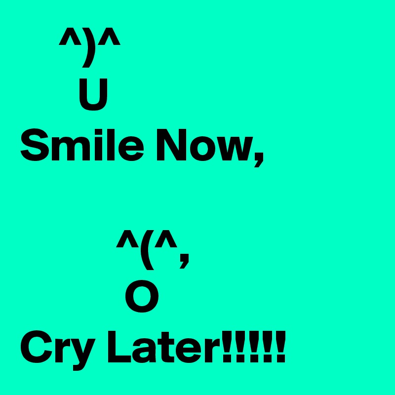     ^)^
      U
Smile Now,

          ^(^,
           O
Cry Later!!!!!