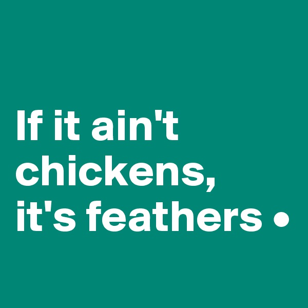 

If it ain't chickens,
it's feathers •
