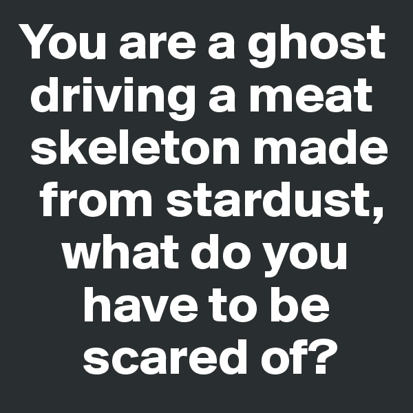 You are a ghost 
 driving a meat 
 skeleton made 
  from stardust, 
    what do you 
      have to be 
      scared of?