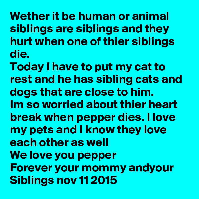 Wether it be human or animal siblings are siblings and they hurt when one of thier siblings die.
Today I have to put my cat to rest and he has sibling cats and dogs that are close to him.
Im so worried about thier heart break when pepper dies. I love my pets and I know they love each other as well 
We love you pepper
Forever your mommy andyour Siblings nov 11 2015 