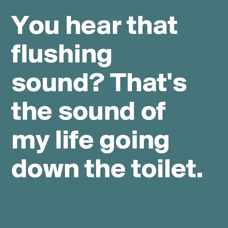 You hear that flushing sound? That's the sound of my life going down the toilet.