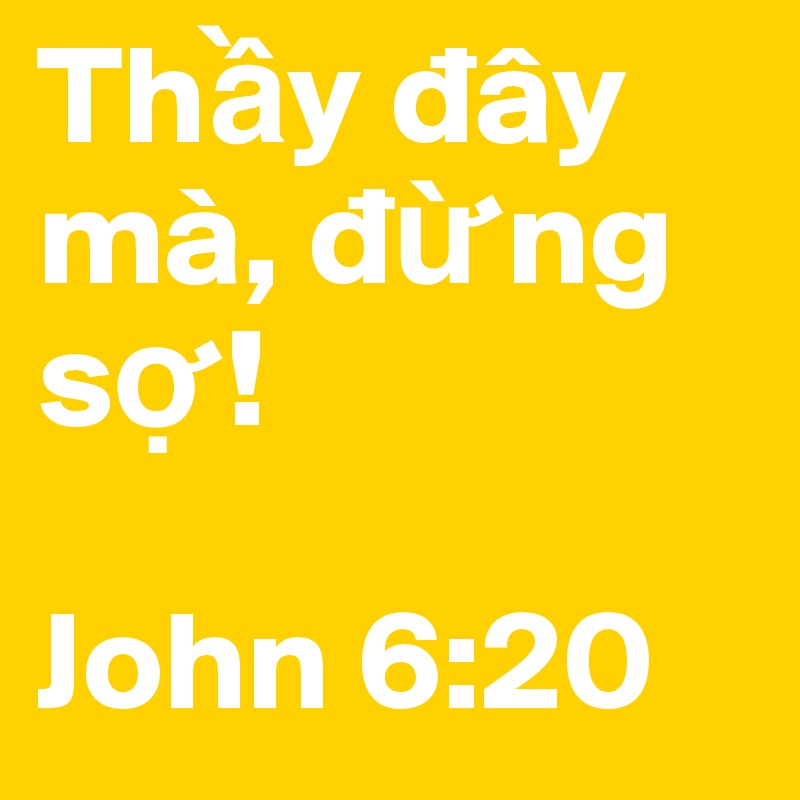 Th?y dây mà, d?ng s?!

John 6:20