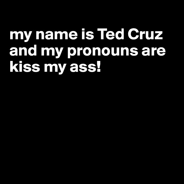 
my name is Ted Cruz and my pronouns are kiss my ass!





