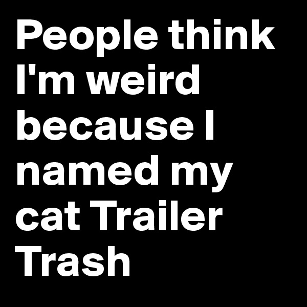 People think I'm weird because I named my cat Trailer Trash