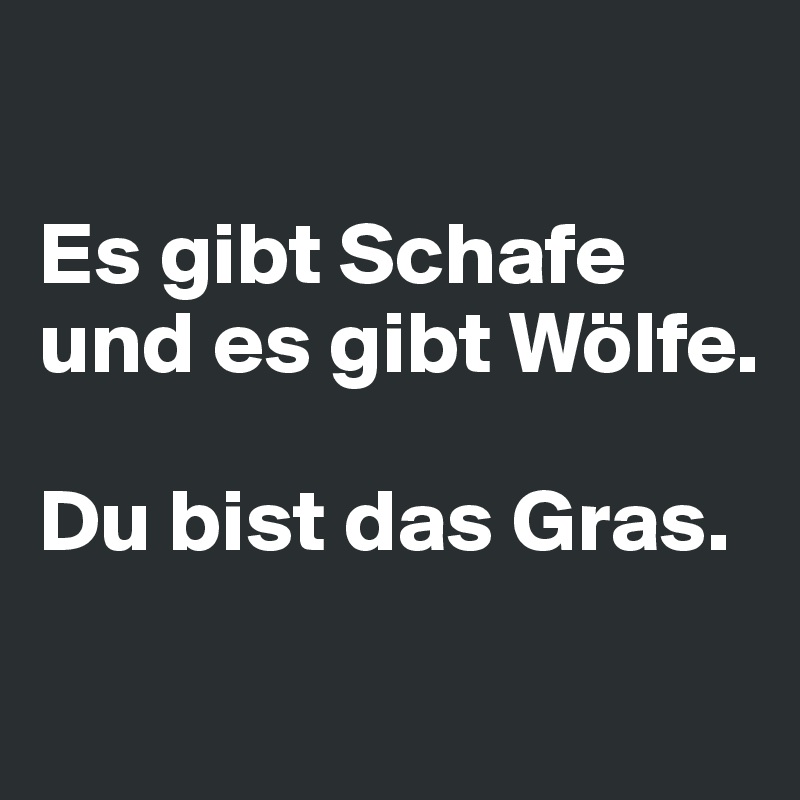 

Es gibt Schafe und es gibt Wölfe. 

Du bist das Gras.
