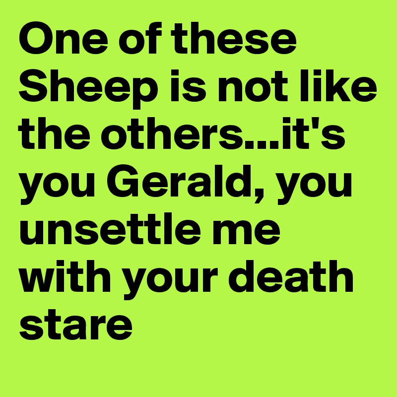 One of these Sheep is not like the others...it's you Gerald, you unsettle me with your death stare