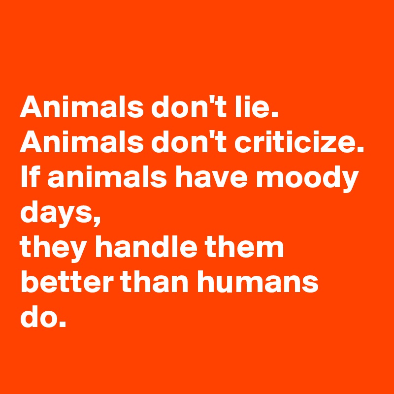 

Animals don't lie. Animals don't criticize.
If animals have moody days,
they handle them better than humans do.
