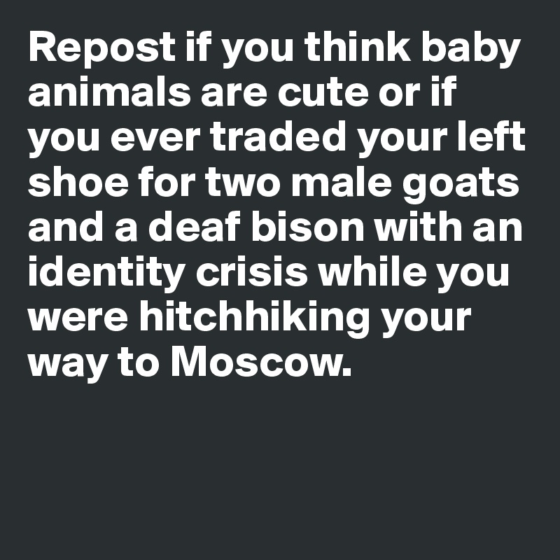 Repost if you think baby animals are cute or if you ever traded your left shoe for two male goats and a deaf bison with an identity crisis while you were hitchhiking your way to Moscow. 


