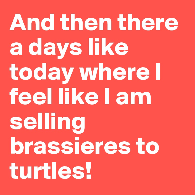 And then there a days like today where I feel like I am selling brassieres to turtles!