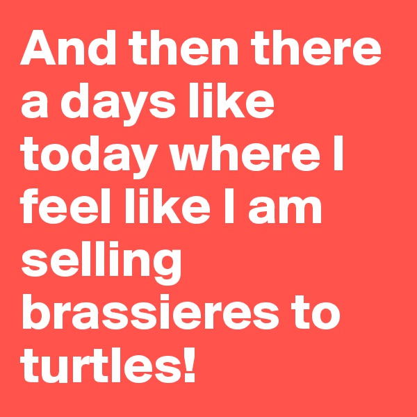 And then there a days like today where I feel like I am selling brassieres to turtles!
