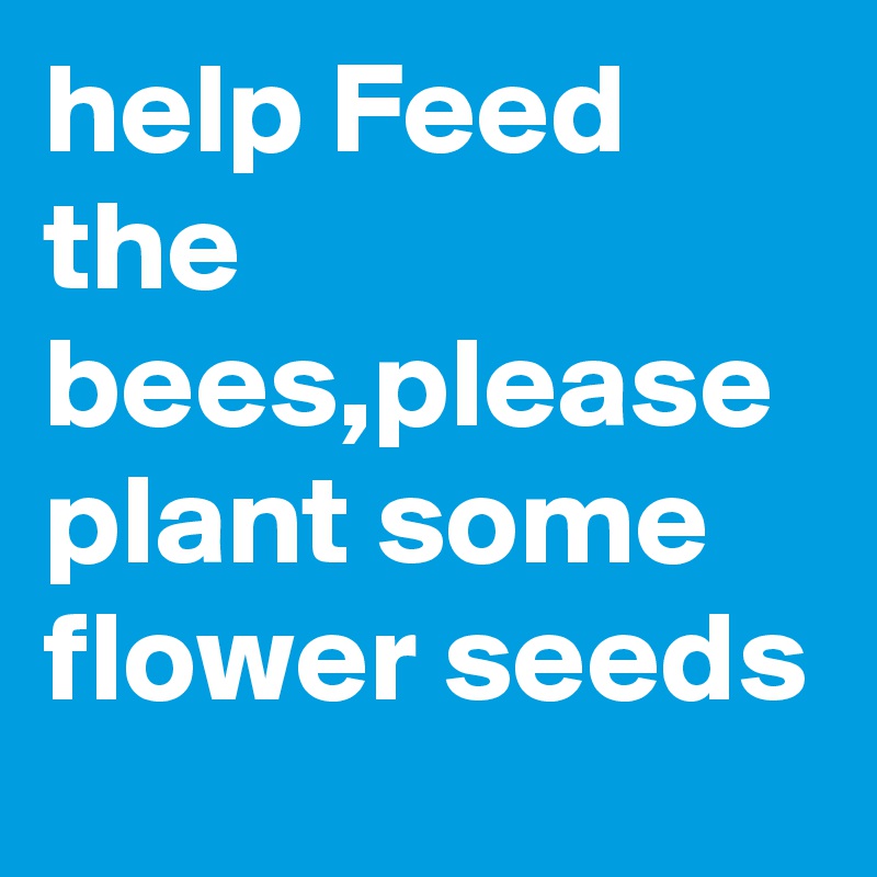 help Feed the bees,please plant some flower seeds