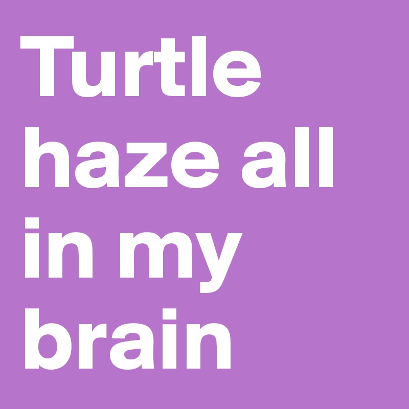Turtle haze all in my brain