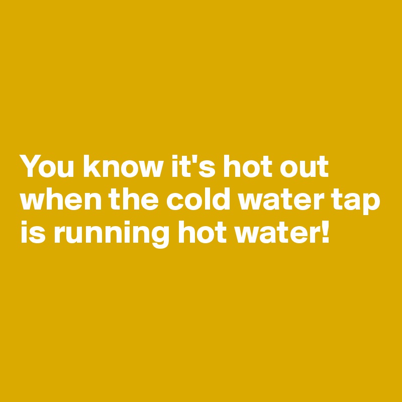 



You know it's hot out when the cold water tap is running hot water!


