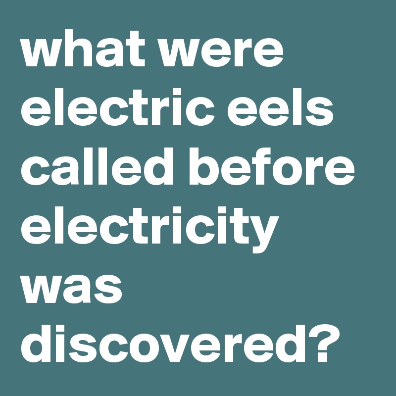 what were electric eels called before electricity was discovered?