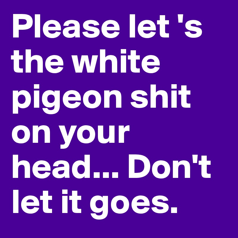 Please let 's the white pigeon shit on your head... Don't let it goes.