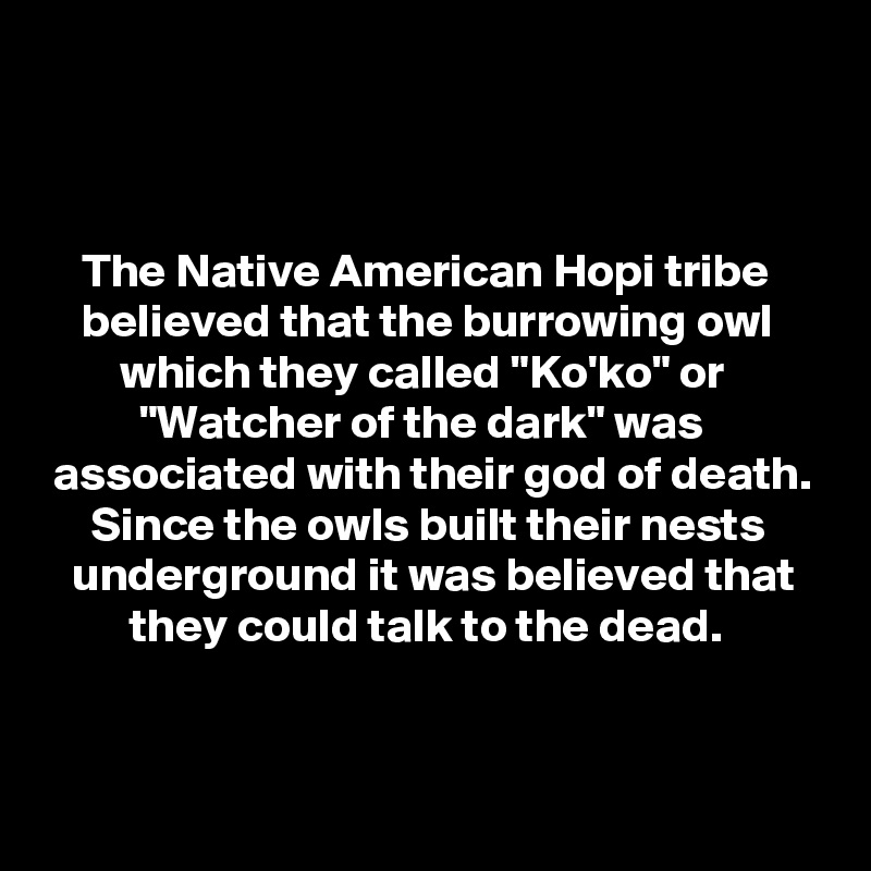 



    The Native American Hopi tribe
    believed that the burrowing owl
        which they called "Ko'ko" or
          "Watcher of the dark" was
 associated with their god of death.
     Since the owls built their nests
   underground it was believed that
         they could talk to the dead.


