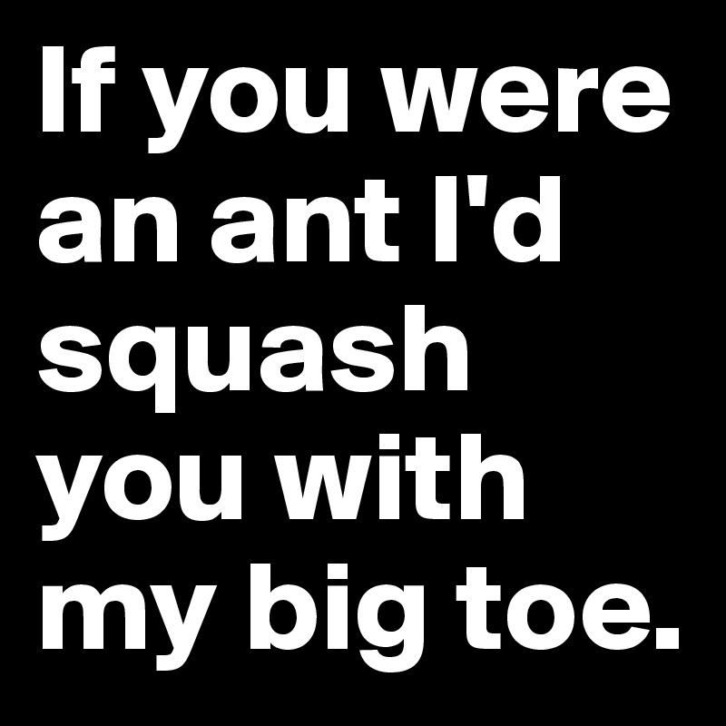 If you were an ant I'd squash you with my big toe.