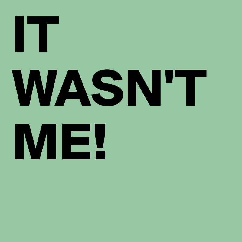 IT WASN'T ME!

