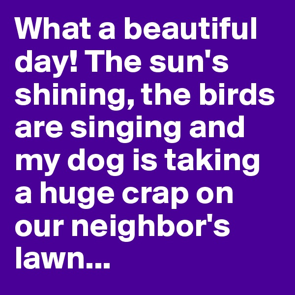 What a beautiful day! The sun's shining, the birds are singing and my dog is taking a huge crap on our neighbor's lawn...