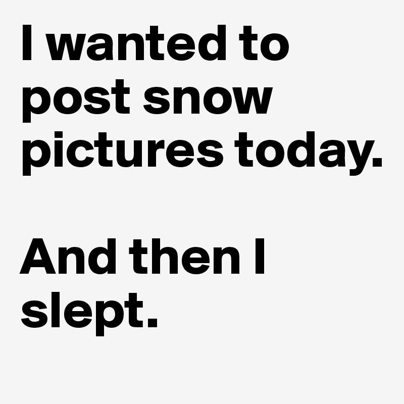I wanted to post snow pictures today. 

And then I slept.