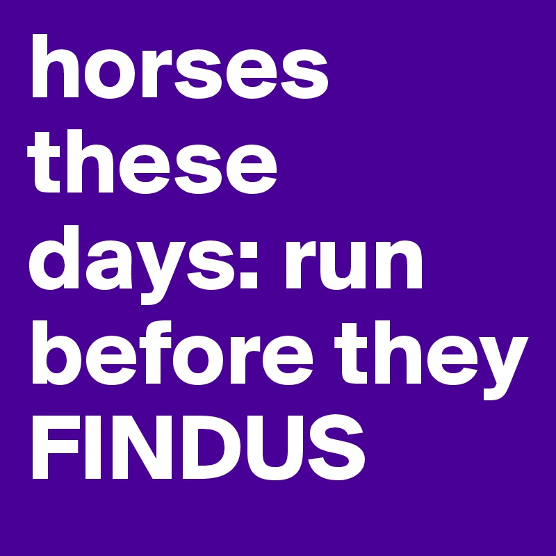 horses these days: run before they FINDUS