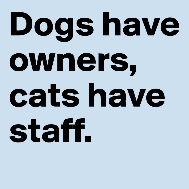 Dogs have owners, cats have staff.