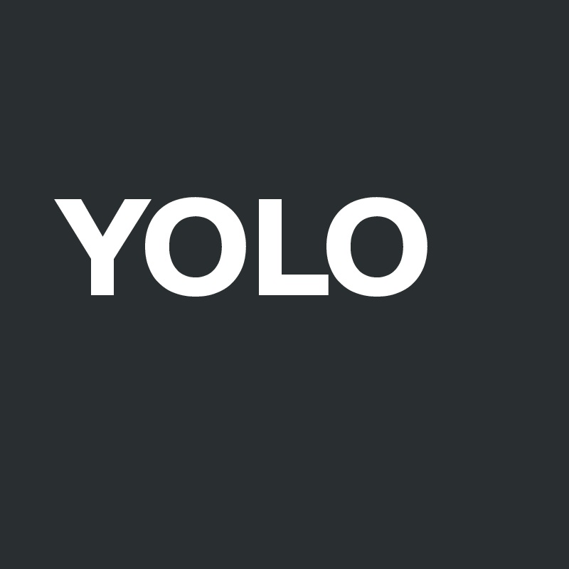 
 YOLO