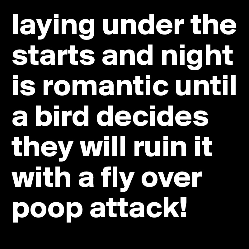 laying under the starts and night is romantic until a bird decides they will ruin it with a fly over poop attack! 