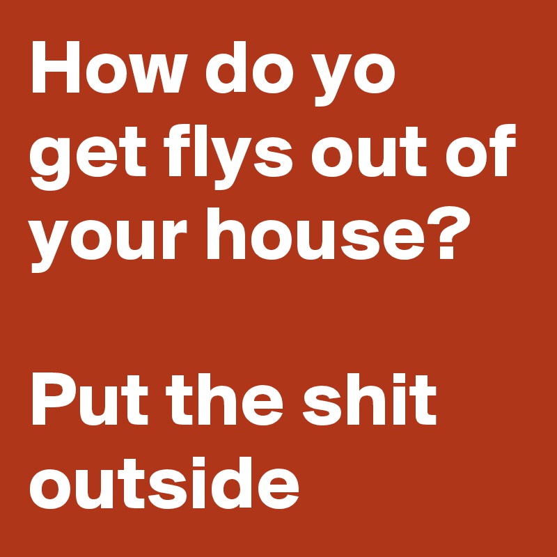 How do yo get flys out of your house?

Put the shit outside 