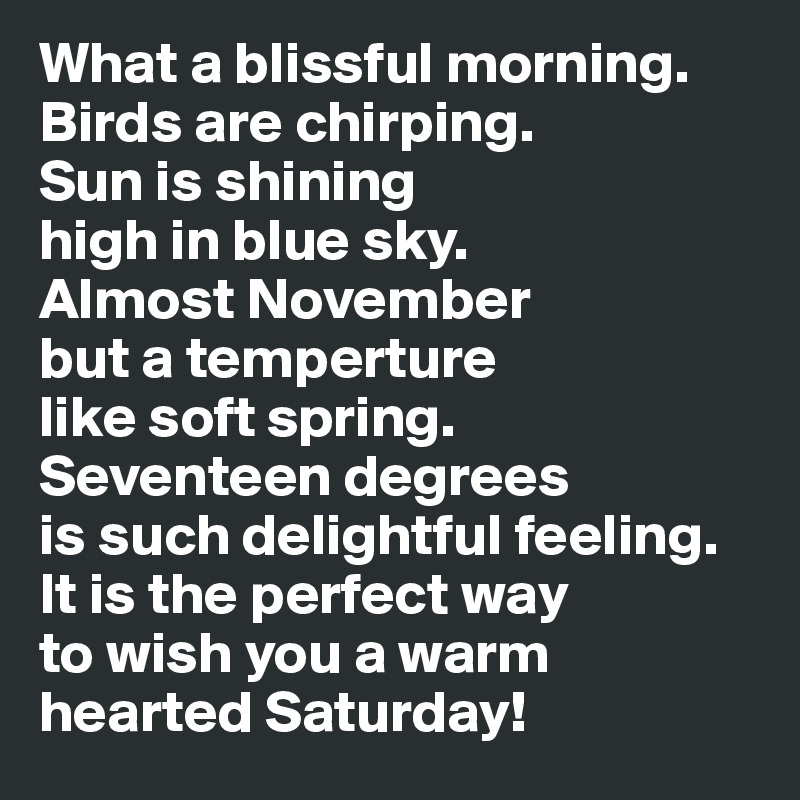 What a blissful morning. 
Birds are chirping. 
Sun is shining 
high in blue sky. 
Almost November 
but a temperture 
like soft spring. 
Seventeen degrees 
is such delightful feeling. 
It is the perfect way 
to wish you a warm hearted Saturday!