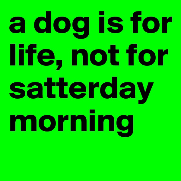 a dog is for life, not for satterday morning